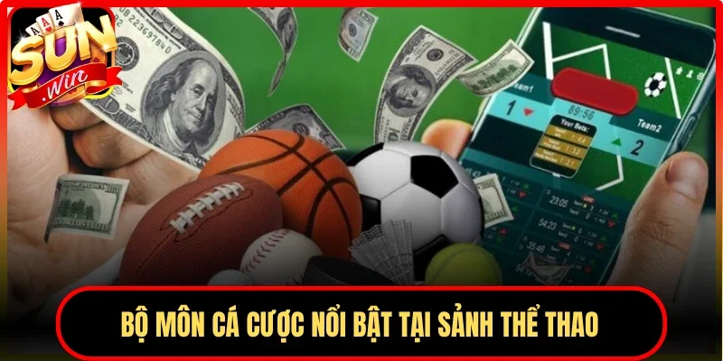 Bộ môn cá cược hấp dẫn trong sảnh thể thao